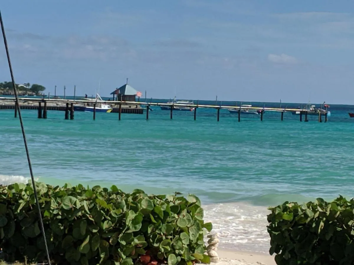 Anne'S Villa Christ Church Barbados